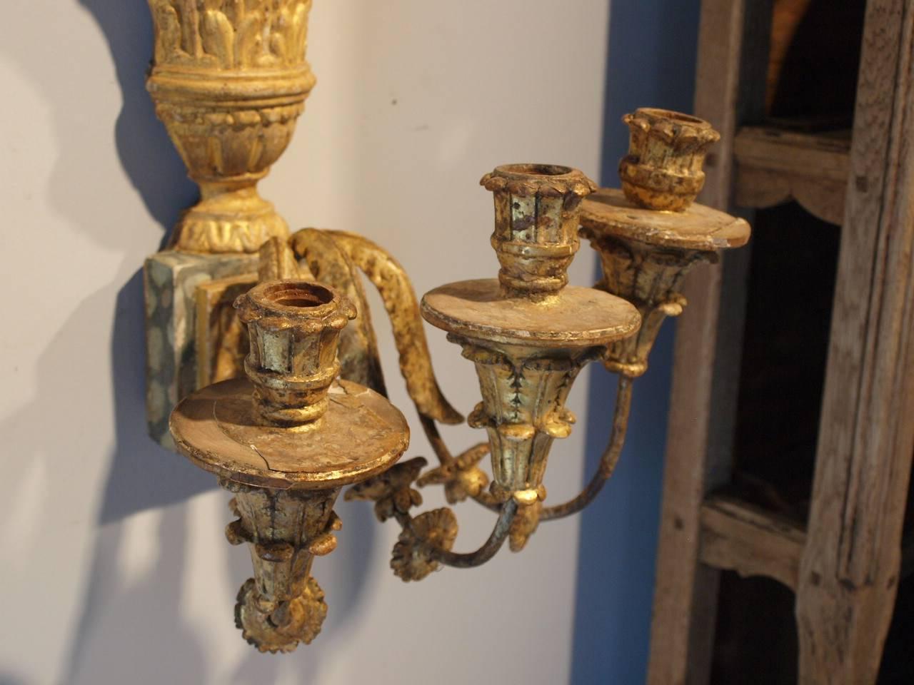 Doré Paire d'appliques à trois bras en bois doré du XVIIIe siècle d'Italie du Nord, appliques en vente