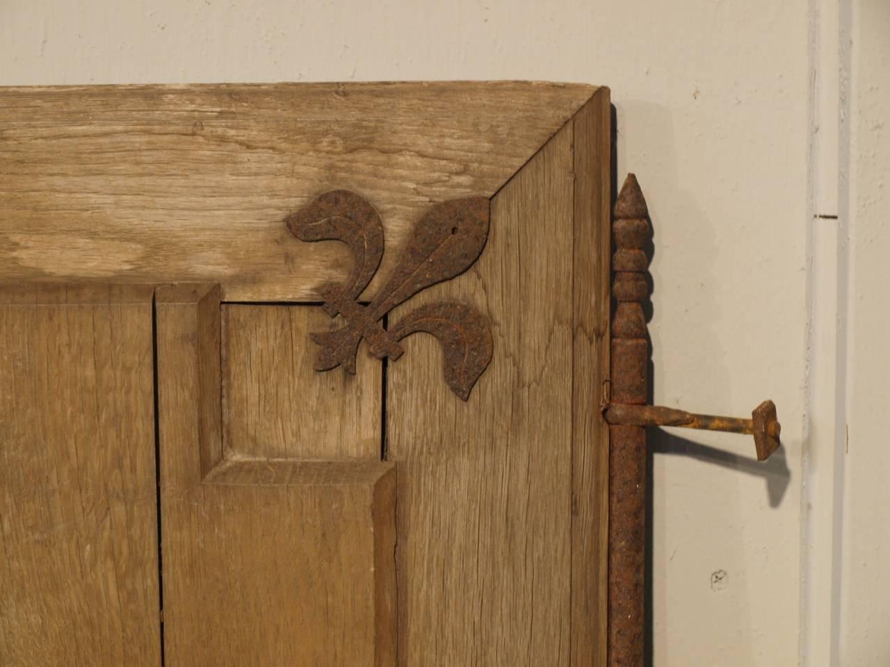 Pair of French 19th Century Doors in Bleached Oak and Iron  3