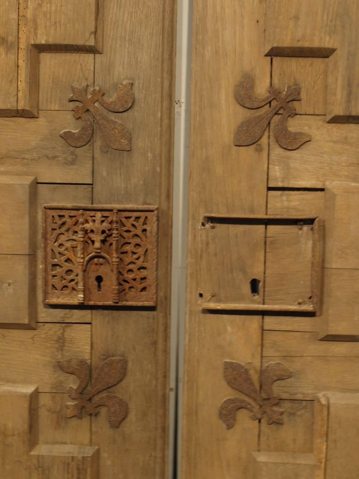 Pair of French 19th Century Doors in Bleached Oak and Iron  7