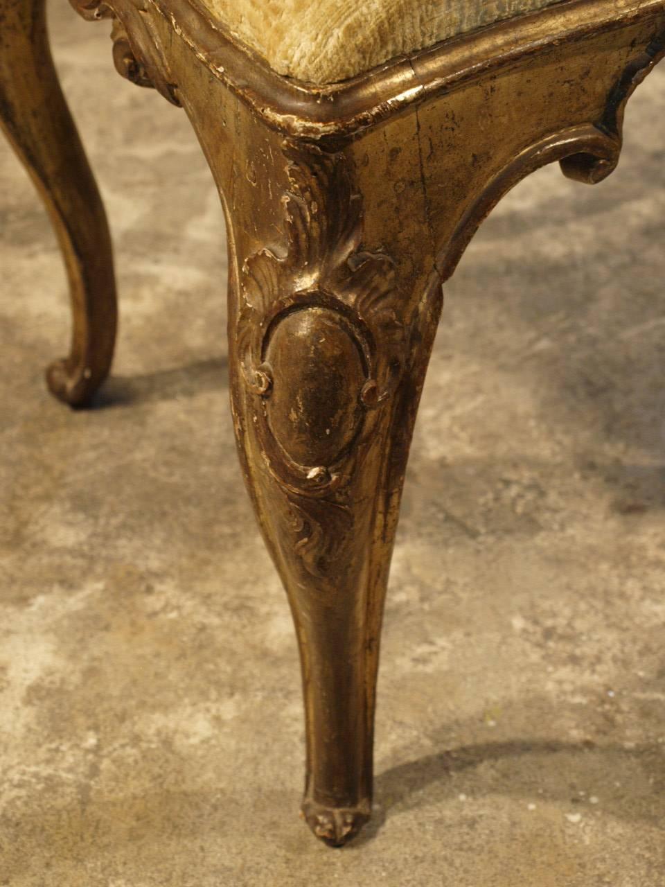 Set of Six 18th Century Italian Dining Chairs in Silvered and Gold Giltwood 2