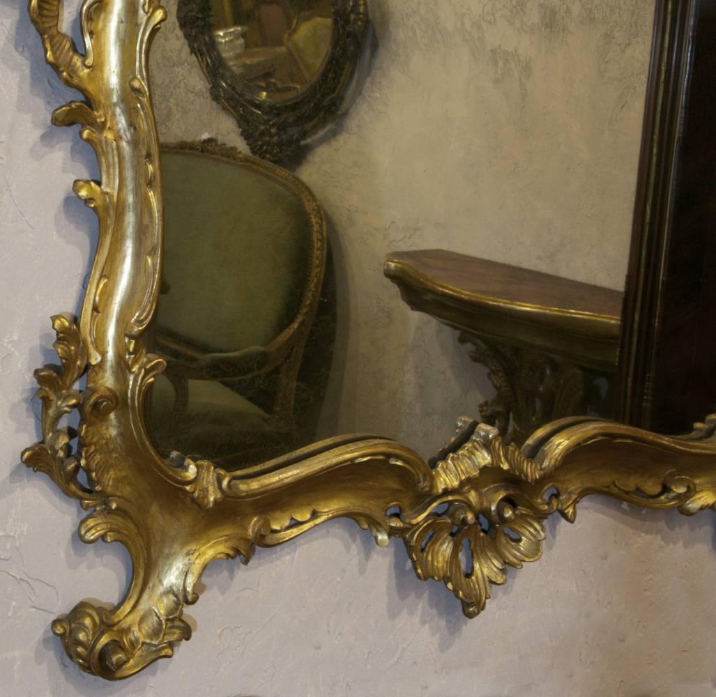 Late 19th Century 19th Century Italian Giltwood Rococo Mirror