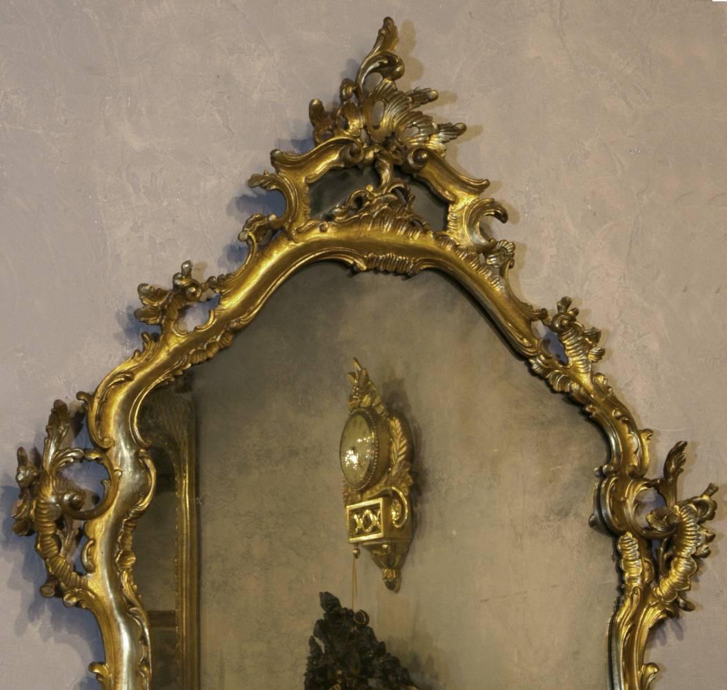 19th Century Italian Giltwood Rococo Mirror In Excellent Condition In Dallas, TX