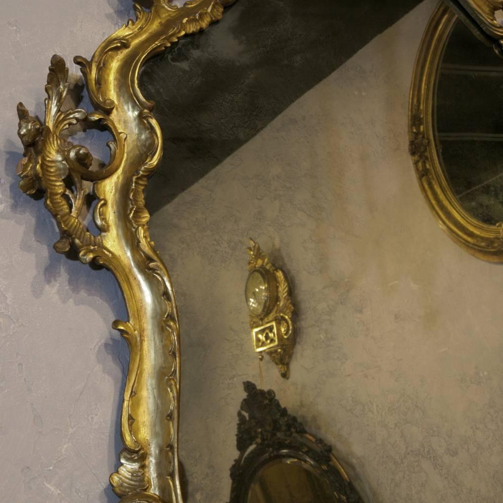 19th Century Italian Giltwood Rococo Mirror 1
