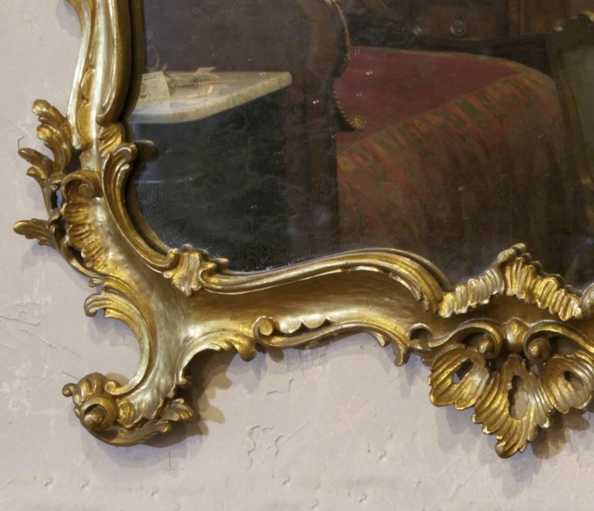 19th Century Italian Giltwood Rococo Mirror 2