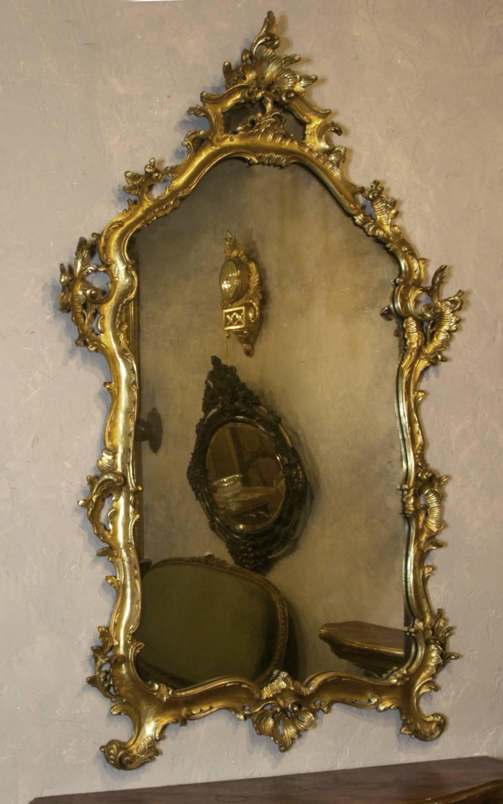 19th Century Italian Giltwood Rococo Mirror 4