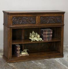 Antique French Renaissance Barrister's Bookcase