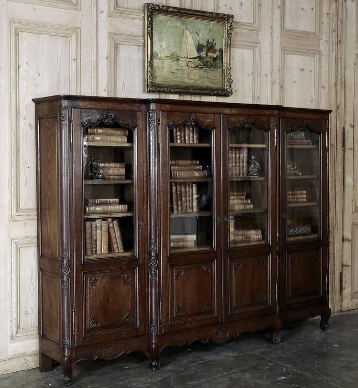 19th Century Country French Bookcase or Bibliotheque at ...