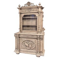 19th Century French Renaissance Revival Bookcase ~ Bibliotheque in Stripped Oak