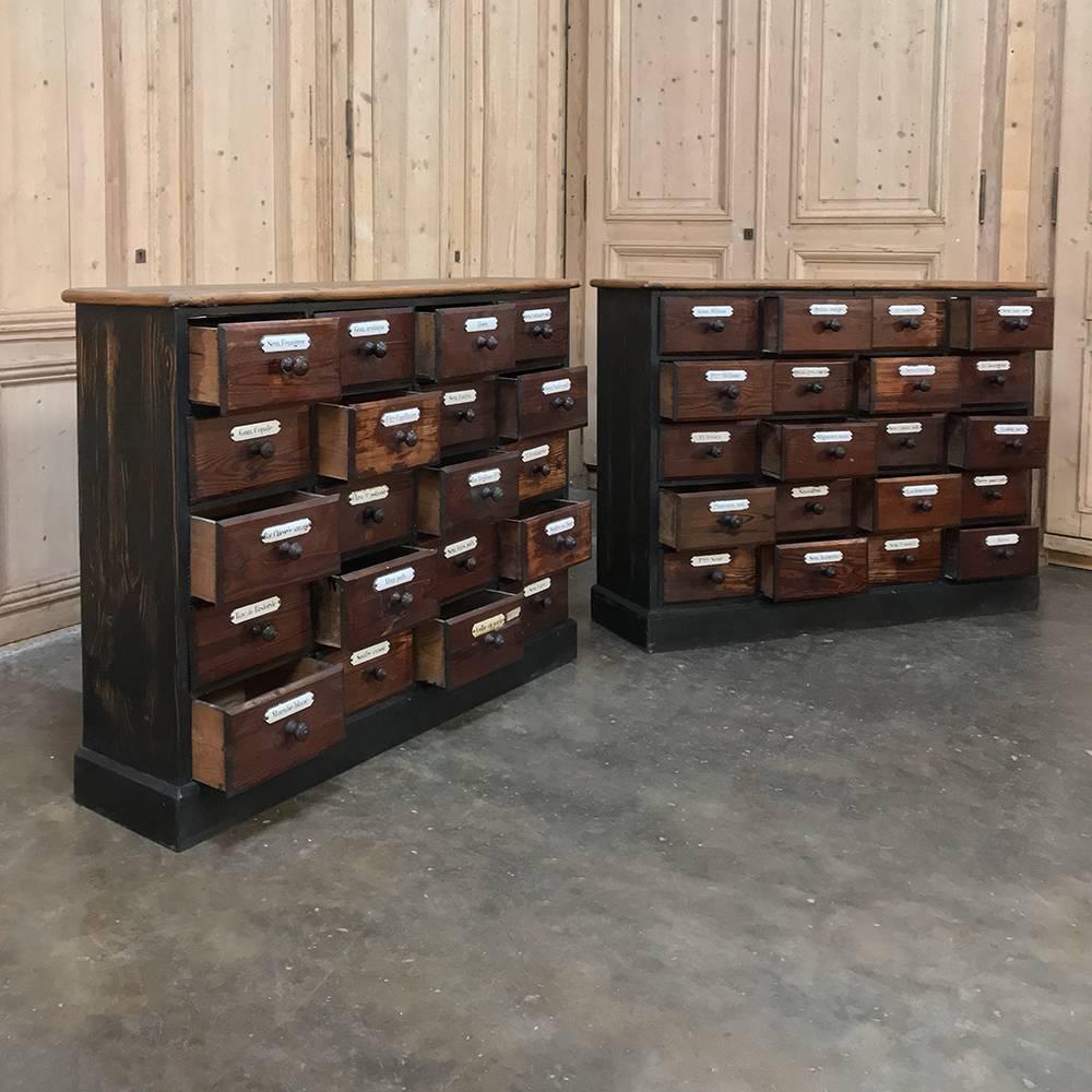 Belgian Rare Pair 19th Century French Pharmacy Cabinets with Original Enamelled Labels