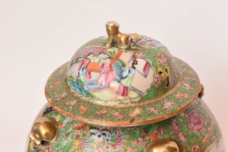 A pair of 19th century canton palette rose medallion covered jars with raised enamel paintings and decorations and lion finials.