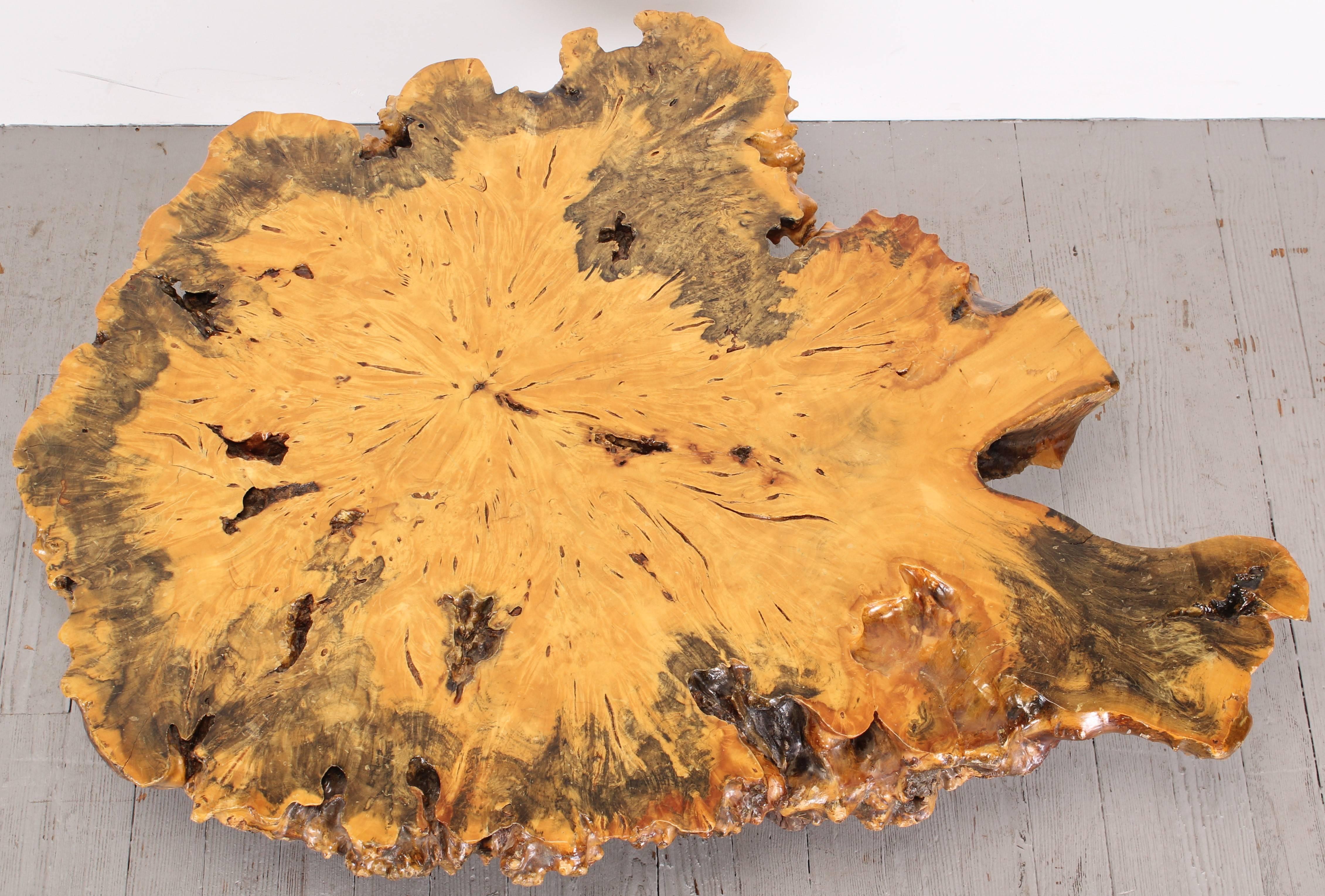 Burl Wood Nakashima Style Maple Slab Coffee Table, 1970s In Excellent Condition In Hamburg, PA