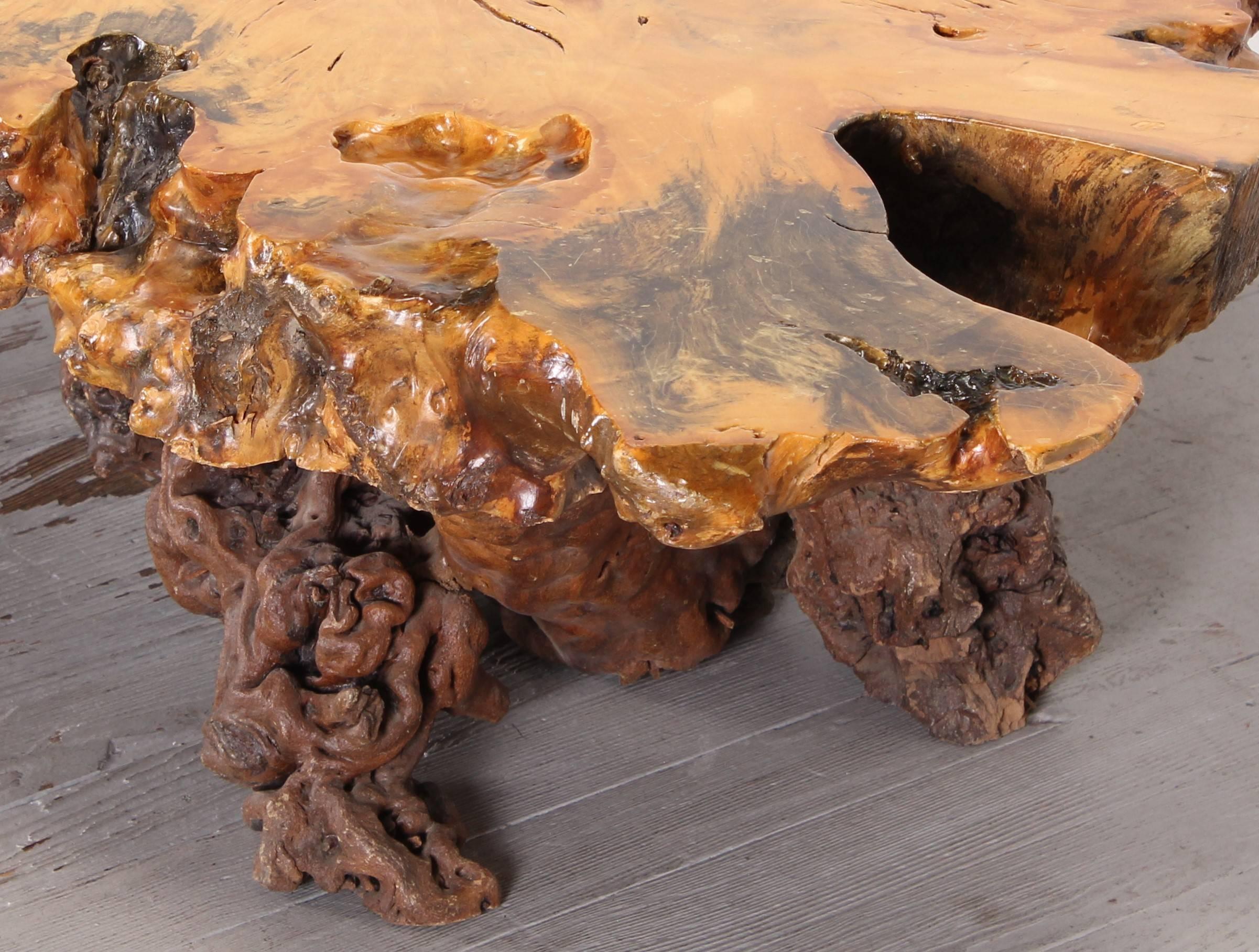 Fruitwood Burl Wood Nakashima Style Maple Slab Coffee Table, 1970s