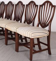 Biggs Set of Eight Shield Back Sheraton Style Dining Chairs, 1950s