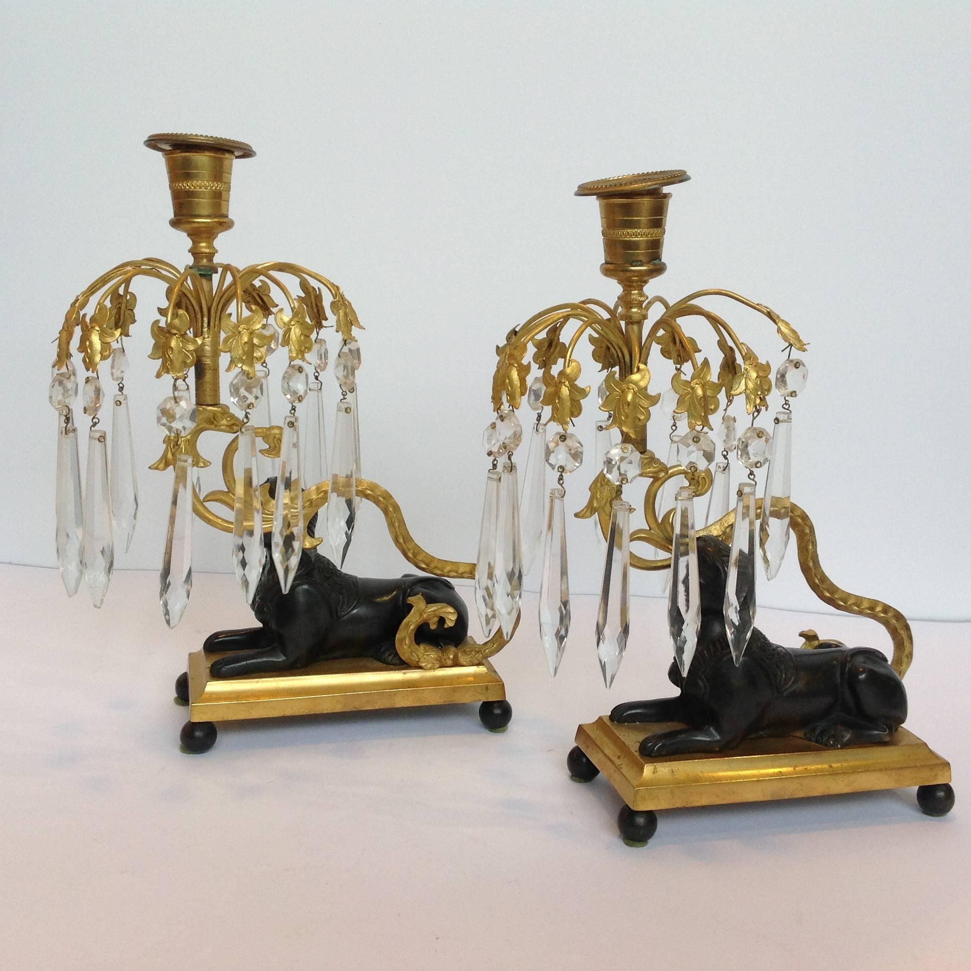 Regency period sphinx gilt bronze candlesticks with waved candle stick producing a canopy of crystals over the sphinx's head.