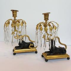 Regency Period Sphinx Gilt Bronze Candlesticks