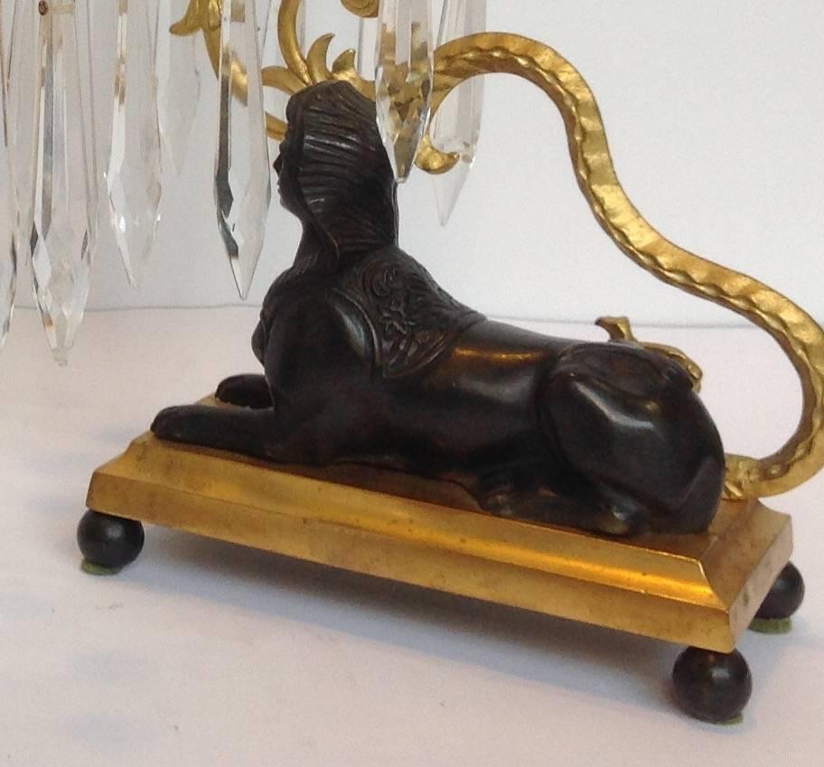 Regency Period Sphinx Gilt Bronze Candlesticks In Excellent Condition For Sale In Houston, TX
