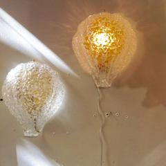 Pair of Murano Shell Sconces