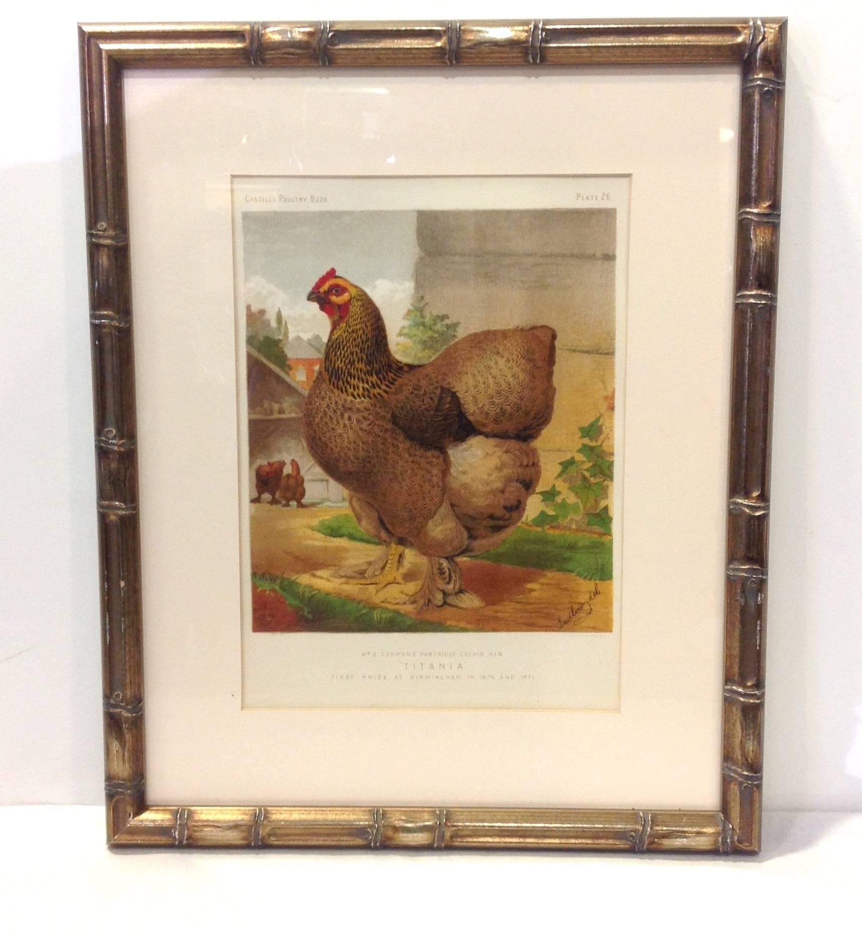 Group of Poultry Lithographs by Cassell In Good Condition For Sale In Houston, TX