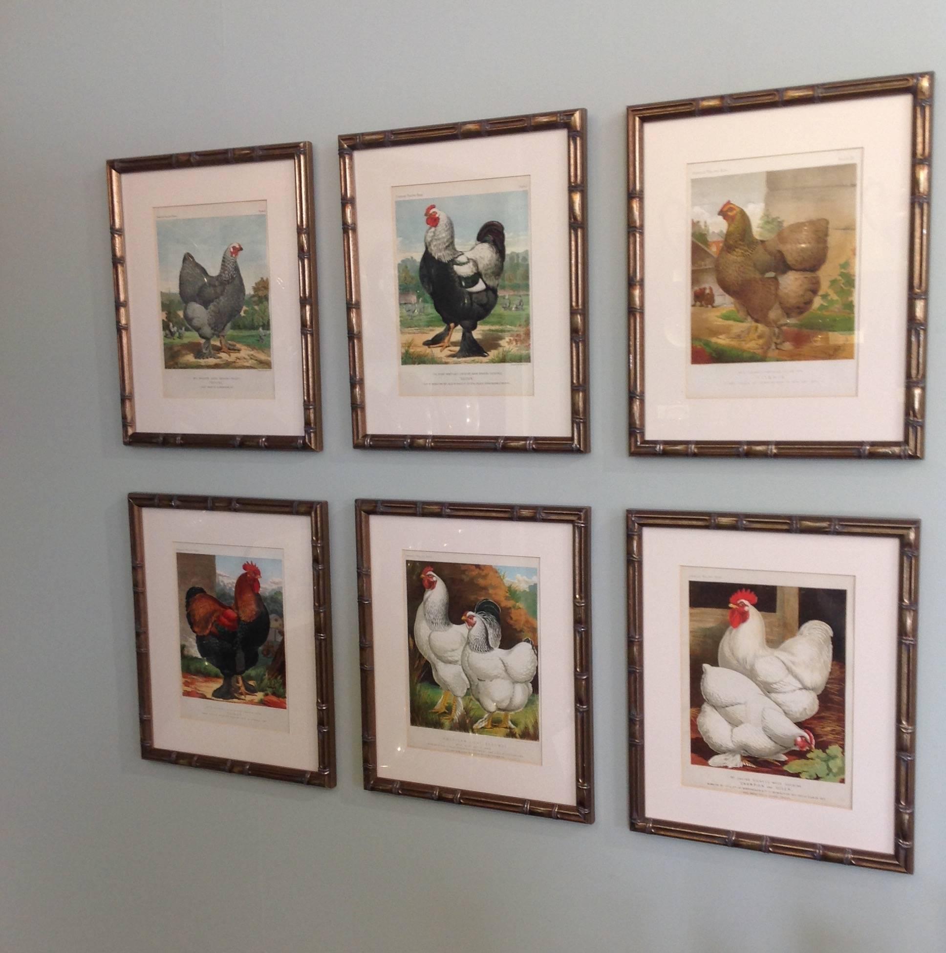 Group of six framed original lithographs from Cassell & Co.’s Poultry Book written by Lewis Wright.