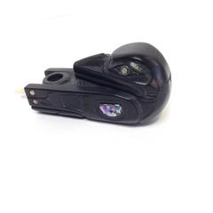 Raven Pipe by Lionel Samuels