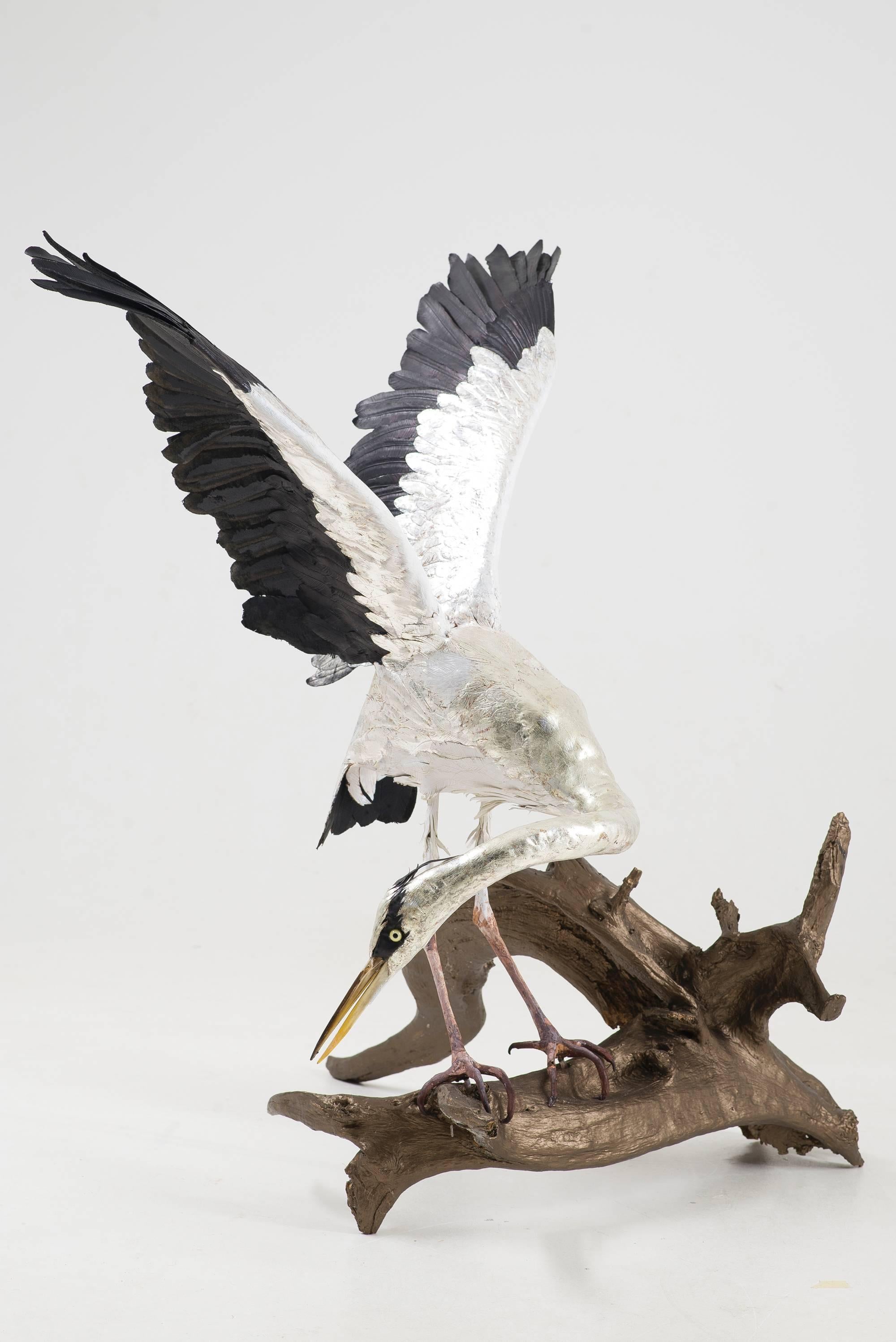 The artist, Georgina Brett-Chinnery, is an award winning leather worker who exploits traditional techniques to create tangible sculptural forms. Her latest series of work of which these herons are part has received the UK Cockpit Arts and