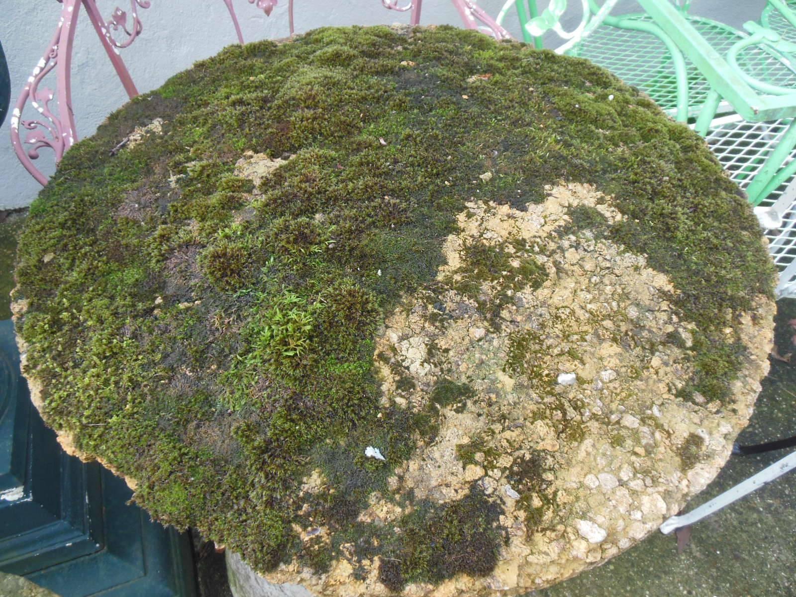 Vintage Staddle Stone or Mushroom Stone 2
