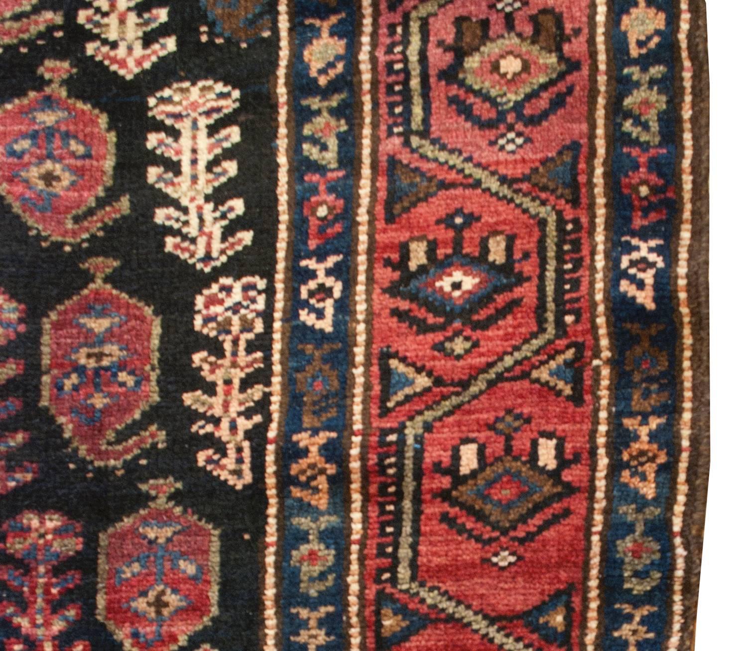 A wonderful early 20th century Persian Lori runner with an incredible all-over pattern of multi-colored paisleys with alternating trees-of-life patterns on a black background. The field is surrounded by multiple narrow and wide borders. The center