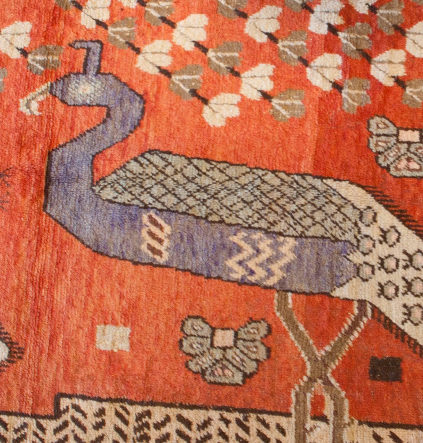 An enchanting early 20th century Eastern Turkestan pictorial Khotan rug depicting two larger-than-life peacocks amidst a field of peonies, resting under a shade tree. The background is a brilliant burnt orange, with three additional birds woven in
