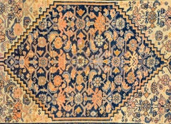 Wonderful Early 20th Century Azari Rug