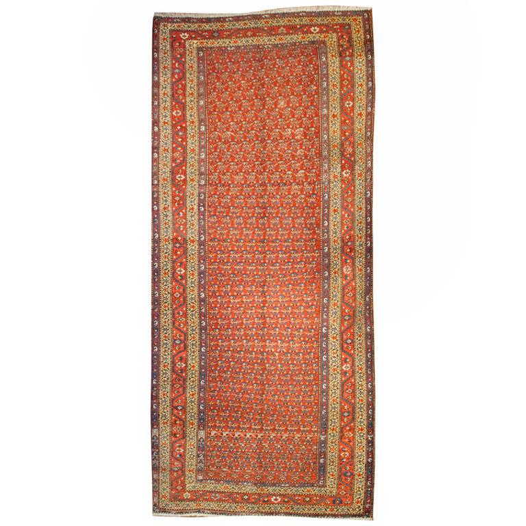 19th Century Afshar Rug For Sale