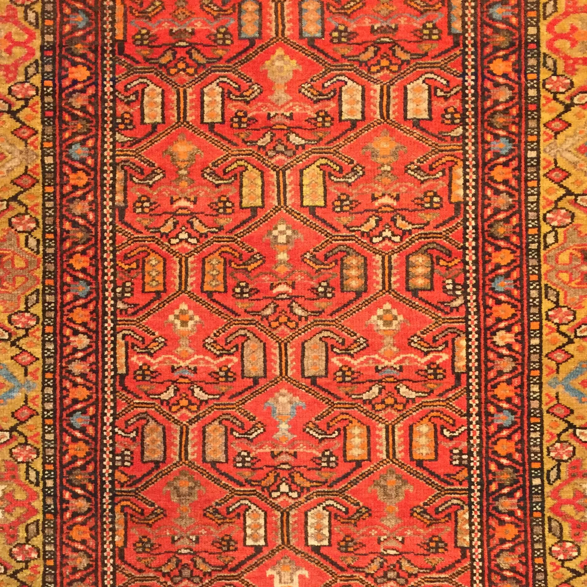 A late 19th century Persian Malayer runner with a gorgeous vegetable dyed crimson central field, layered with indigo, saffron and yellow scrolling vines and paisleys, birds and flowers, surrounded by multiple contrasting borders of alternating vines