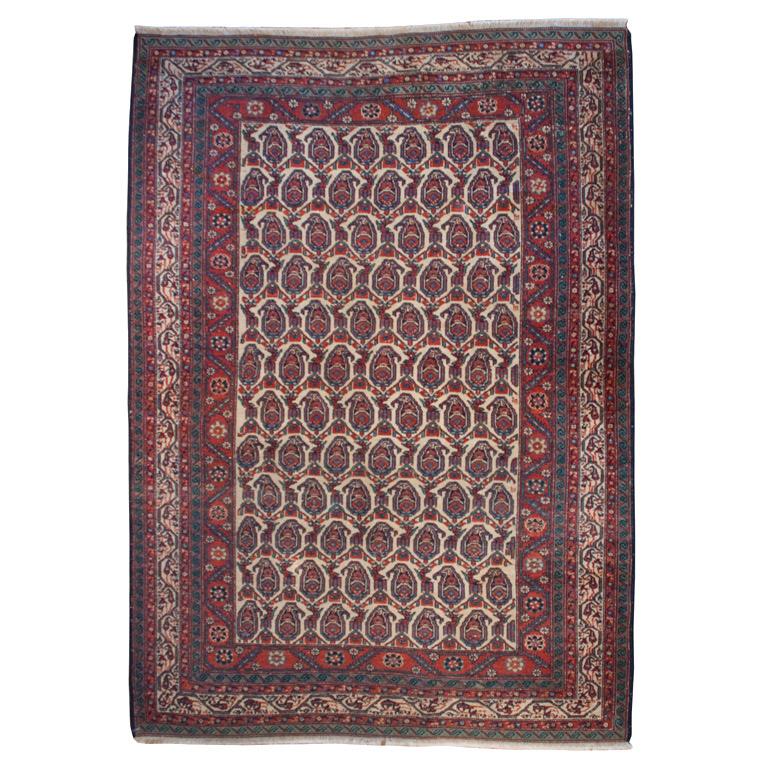 Early 20th Century Nahavand Carpet For Sale