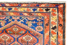 Wonderful Early 20th Century Malayer Rug