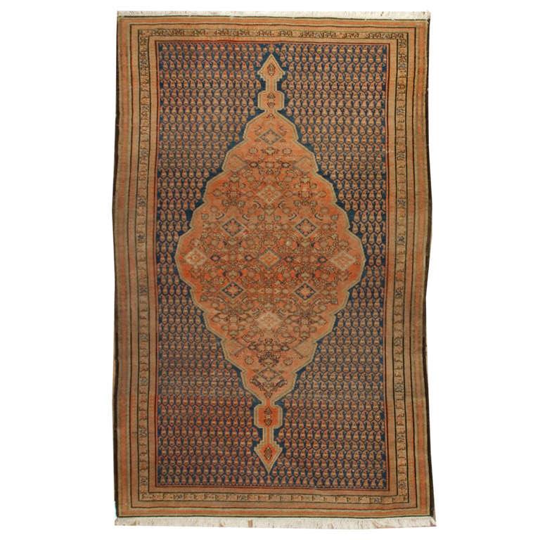 Mid-19th Century Persian Malayer Rug For Sale