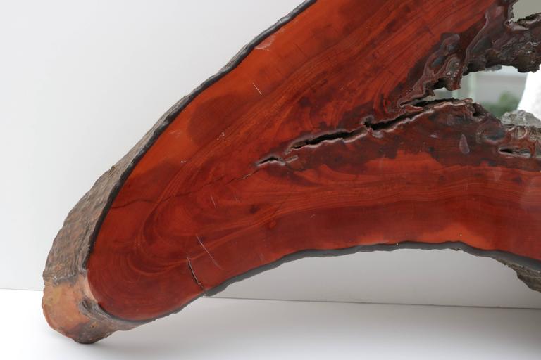 Cypress Tree Biomorphic Form Wall Mirror For Sale at 1stDibs