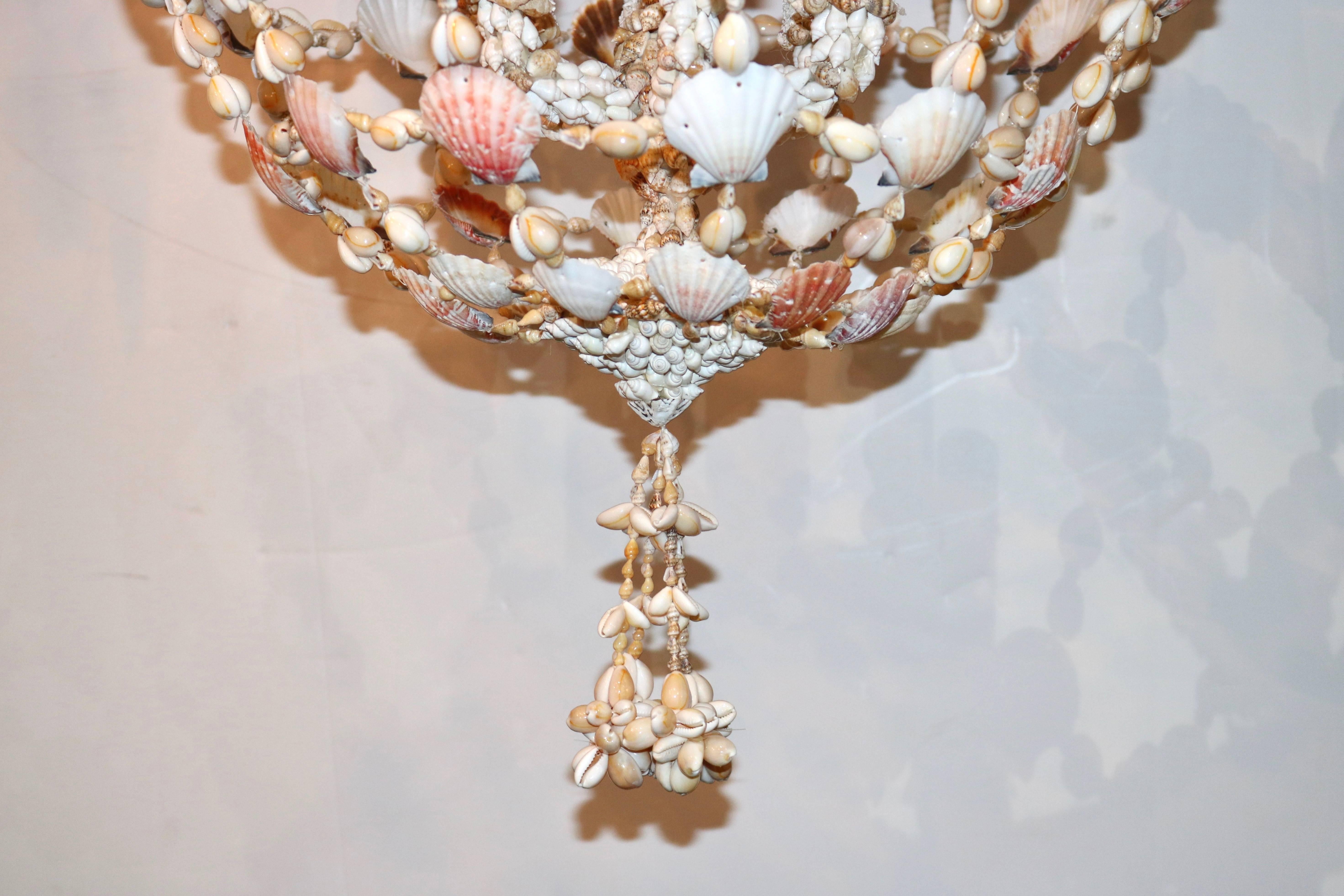 Seashell Encrusted Chandelier 5