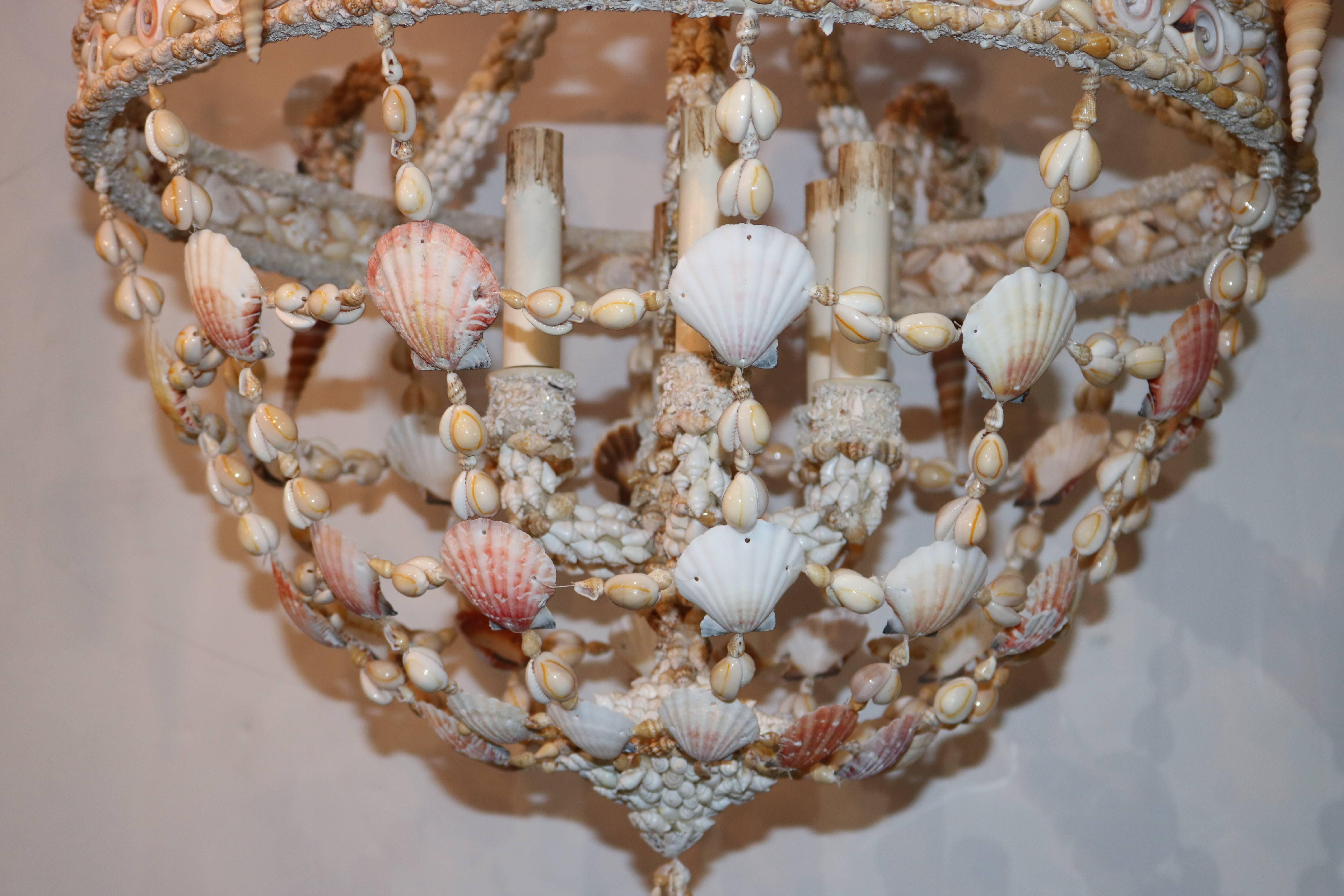 Seashell Encrusted Chandelier 4