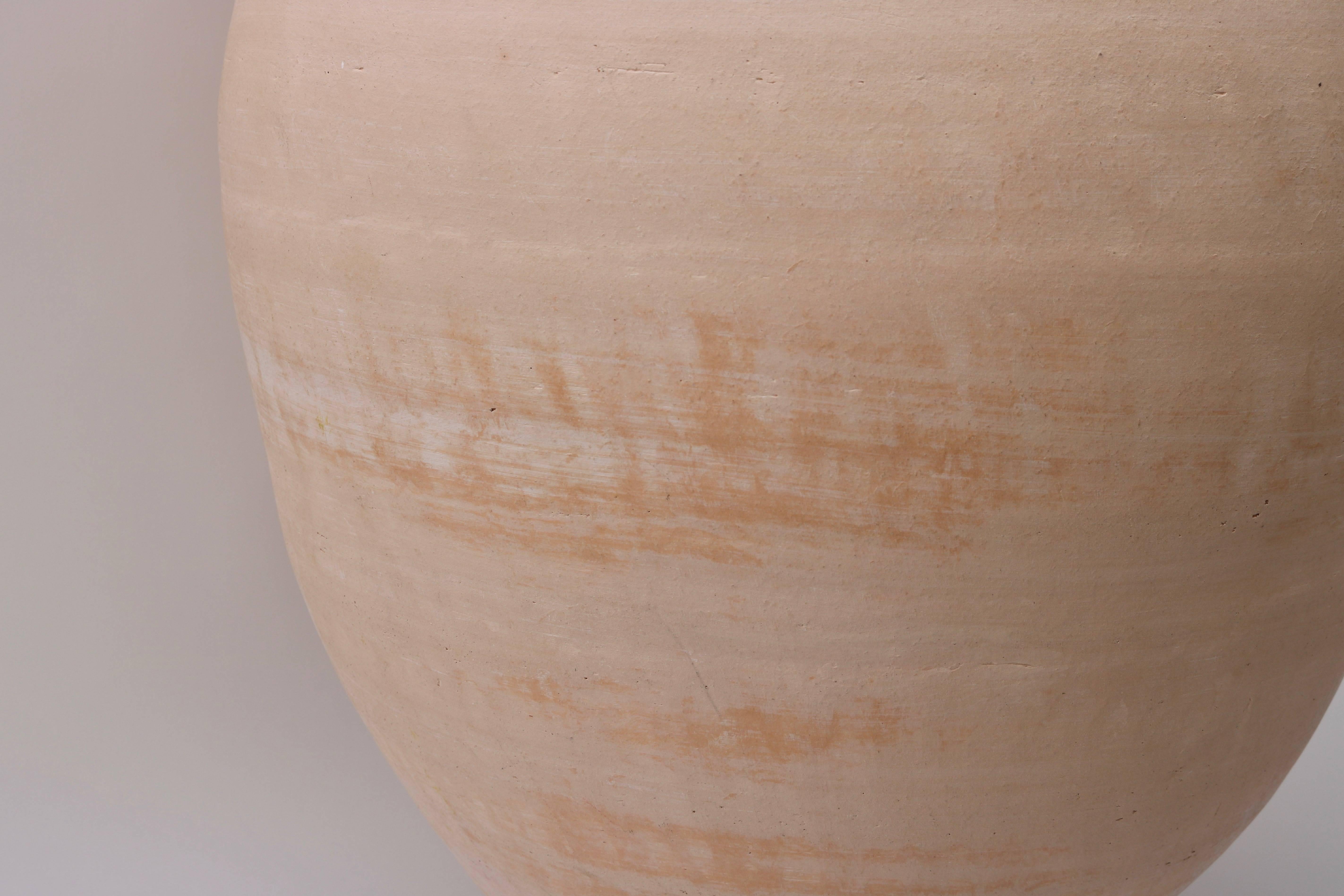 20th Century Pair of  Terracotta Amphora Vases For Sale