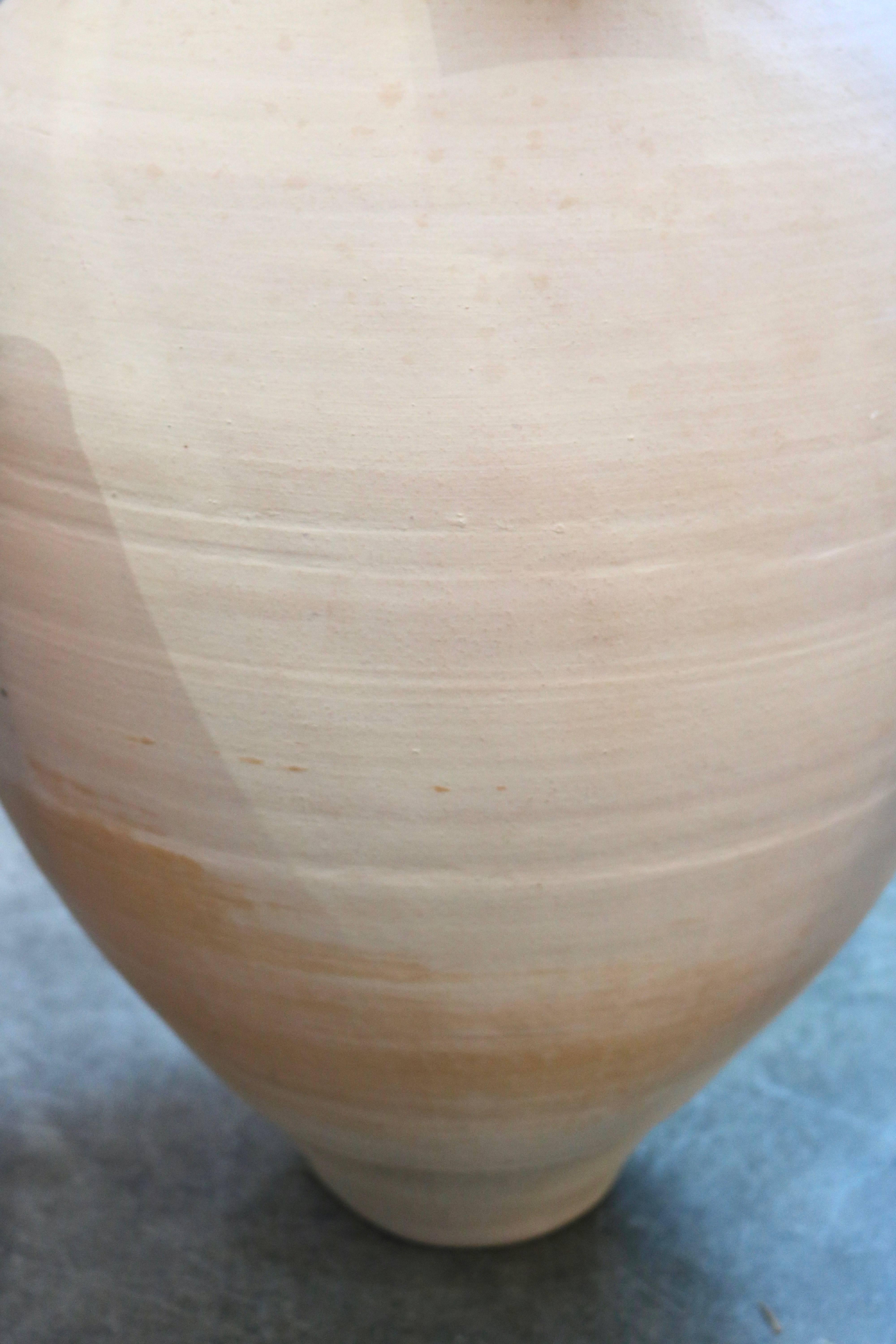 Pair of  Terracotta Amphora Vases For Sale 1