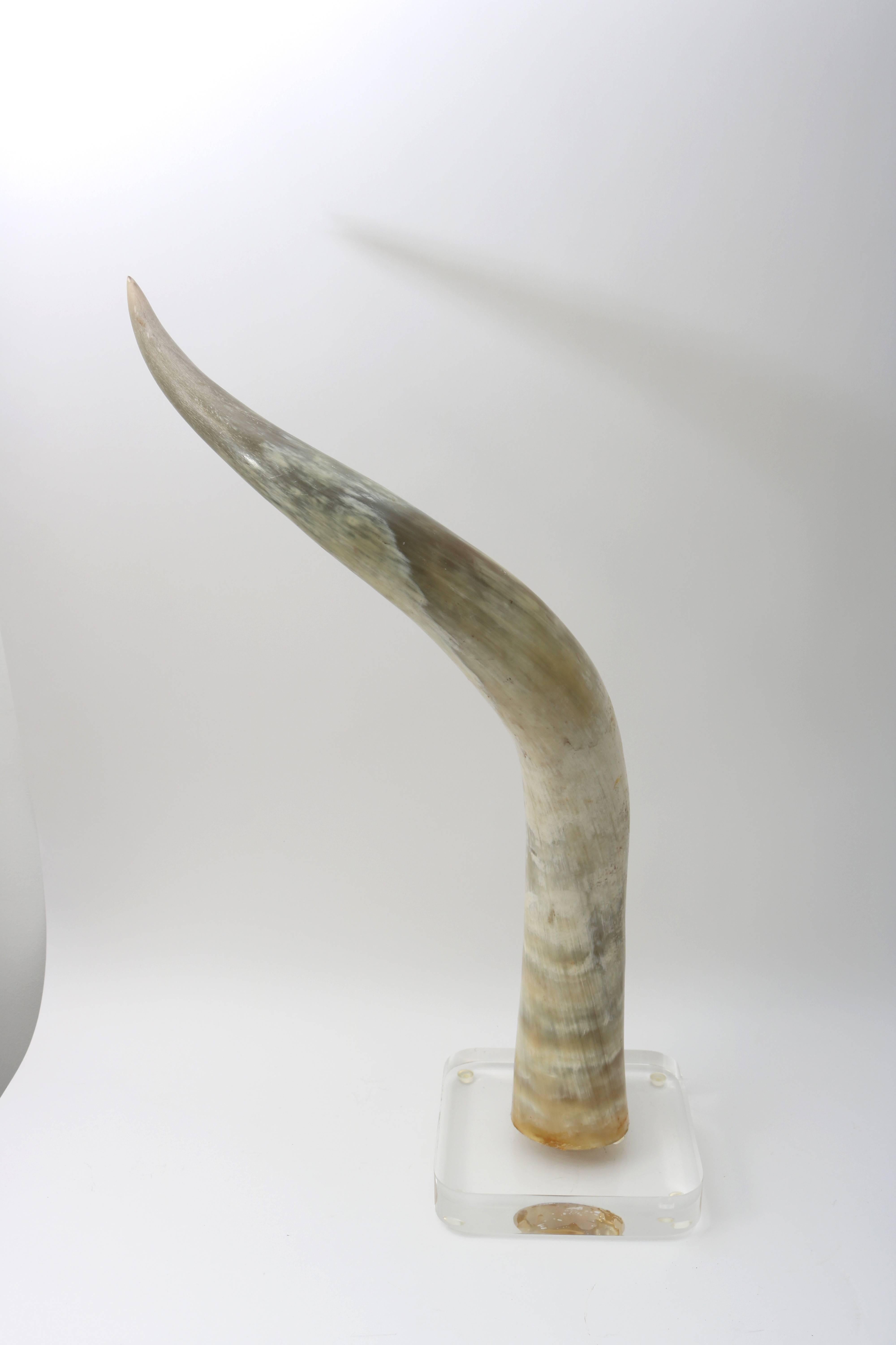 This pair of steer horns mounted on Lucite evoke images of interiors by Pierre Cardin, Halston, Willy Rizzo and the international jet-set. They will be quite at home from Palm Springs to Palm Beach with their large-scale and neutral color palette.

