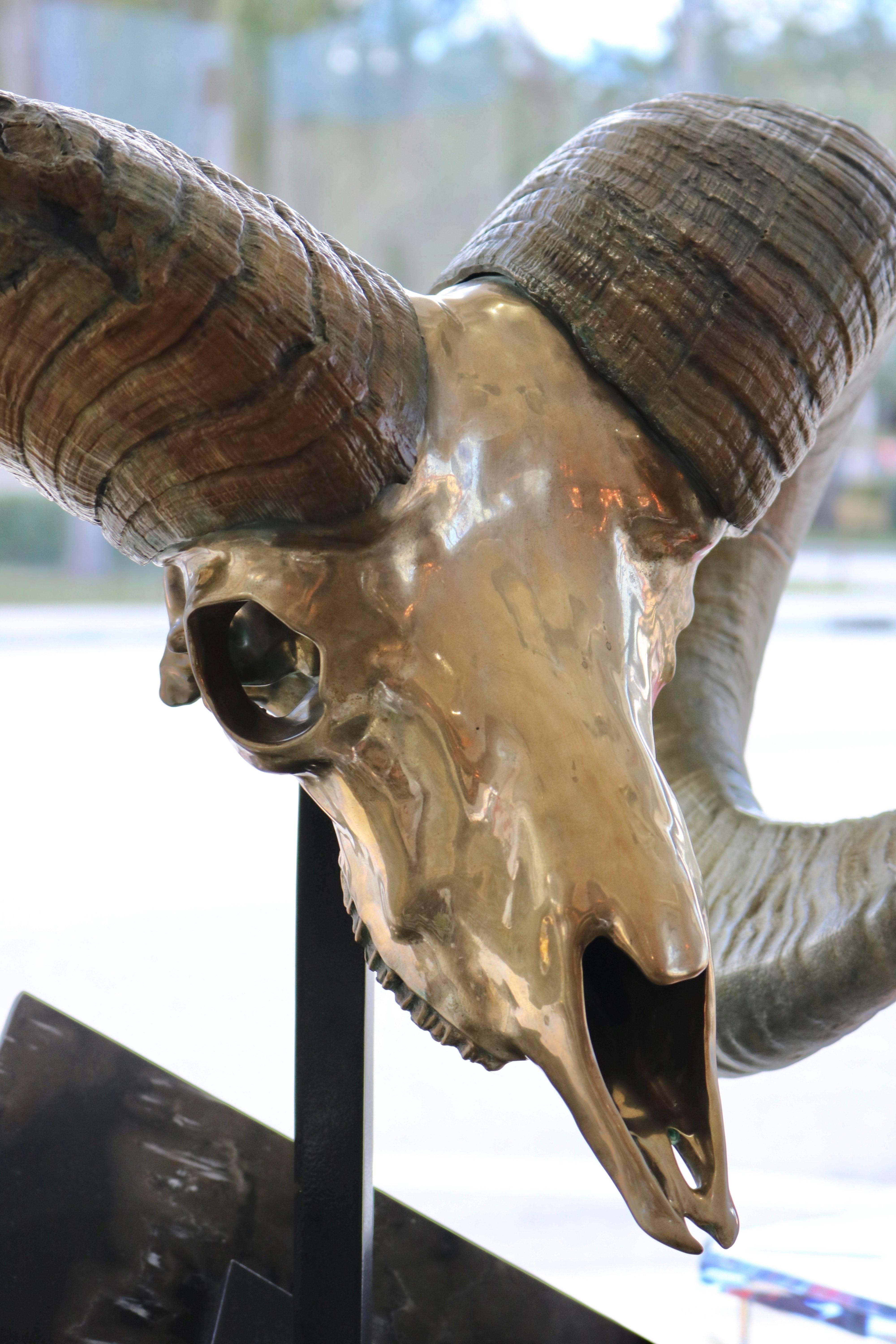 Américain  Sculpture en bronze d'un crâne de bélier en vente