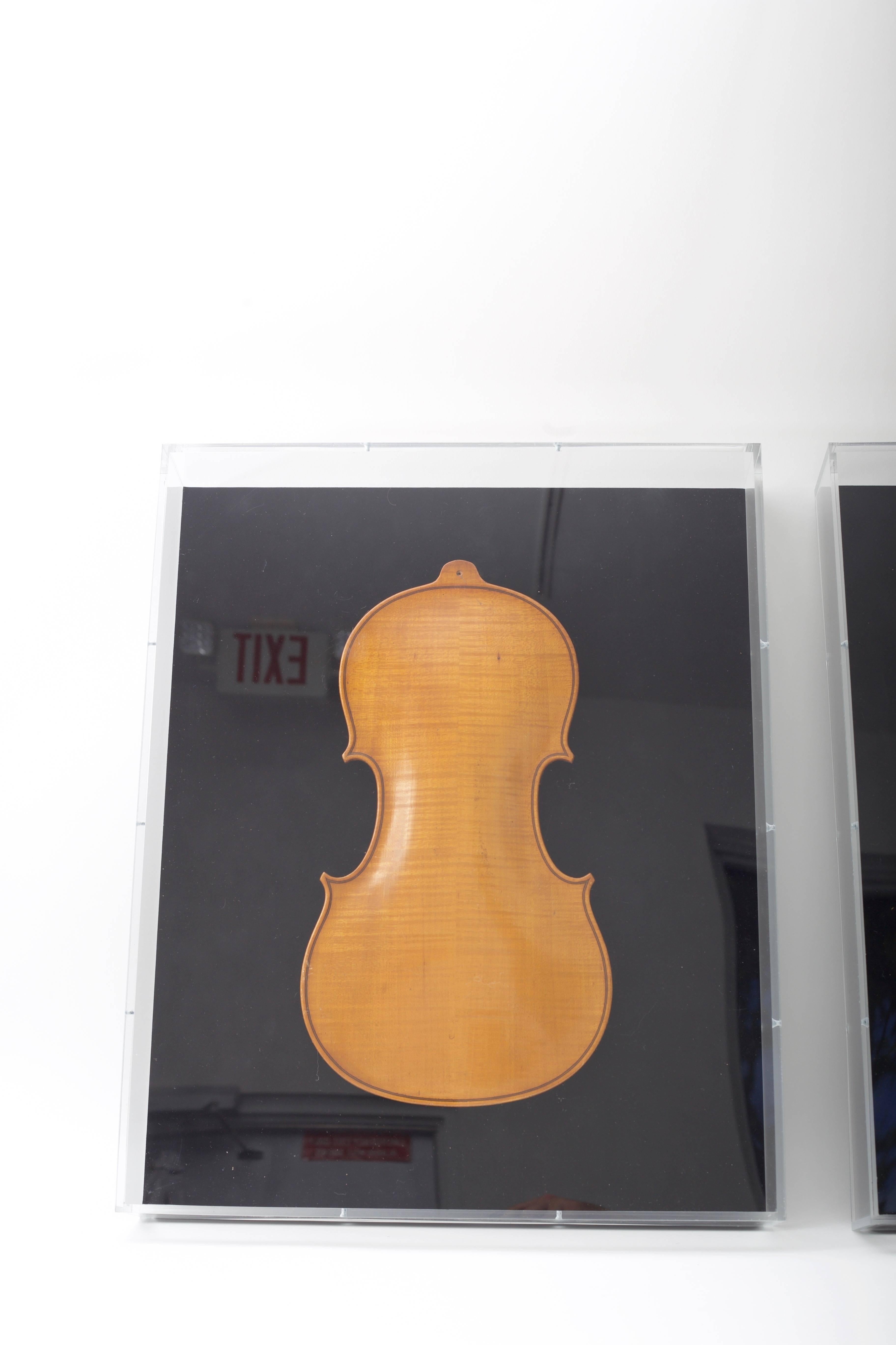These framed violin backs are the perfect compliment to your music room or perhaps library.
 
Note: Dimensions of violin backs are 14.75