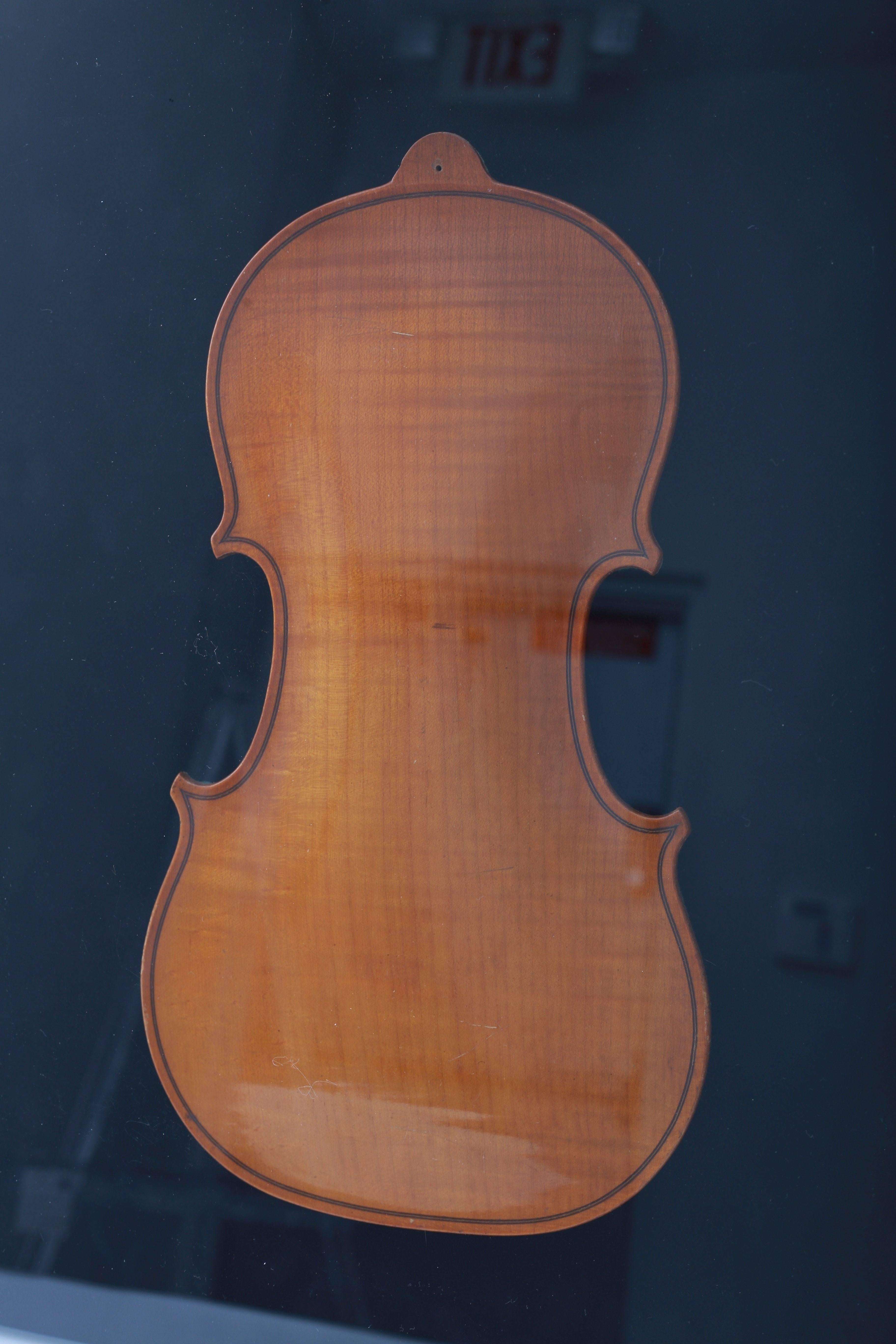 Set of Two Framed 19th Century Violin Backs 1