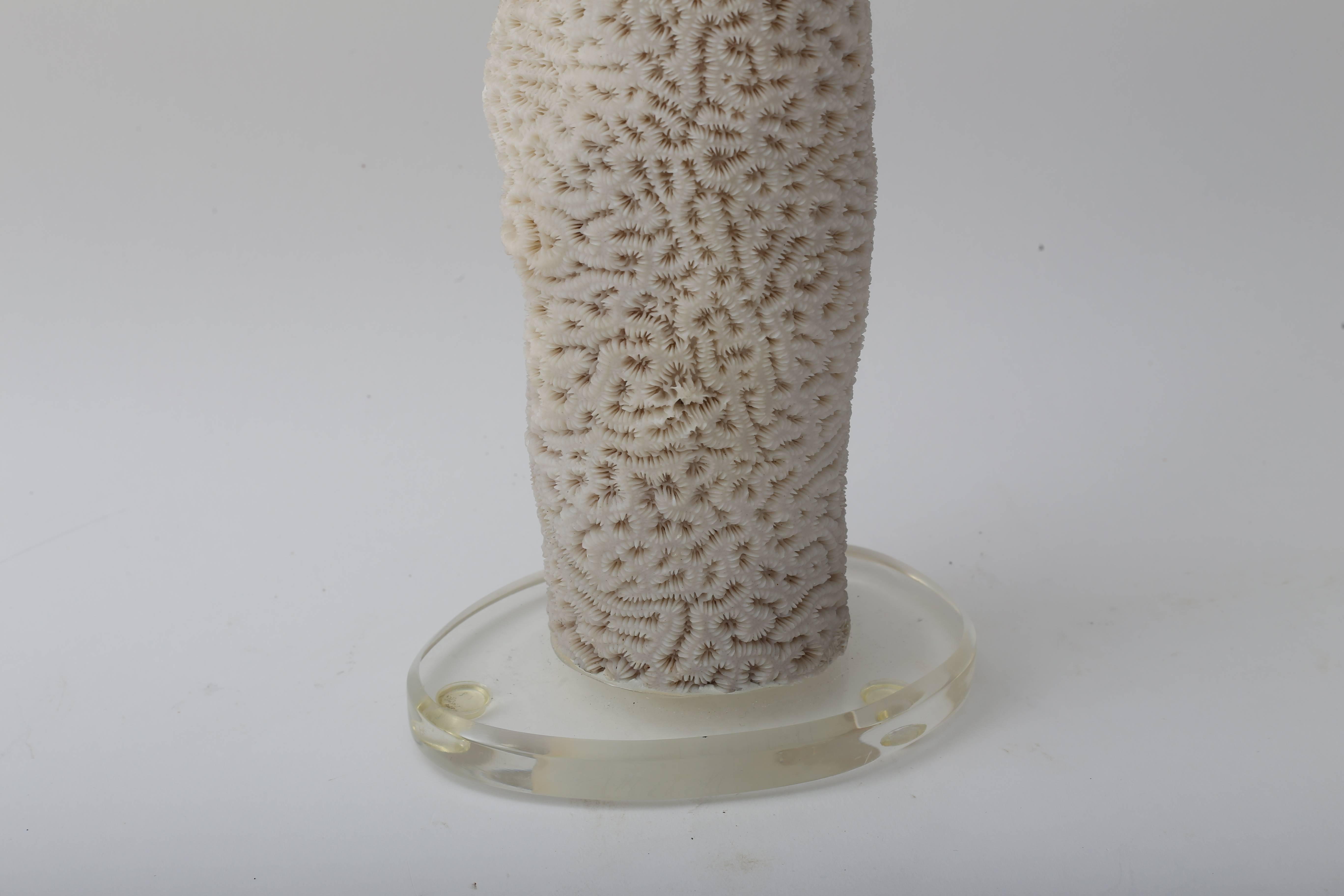 This enticing piece of natural sea coral takes on the form of a modern sculpture with its sensual form and glow. The piece has no damage and is mounted on a piece of clear Lucite and dates to the 1970s.
 