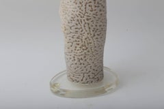 White Specimen Coral
