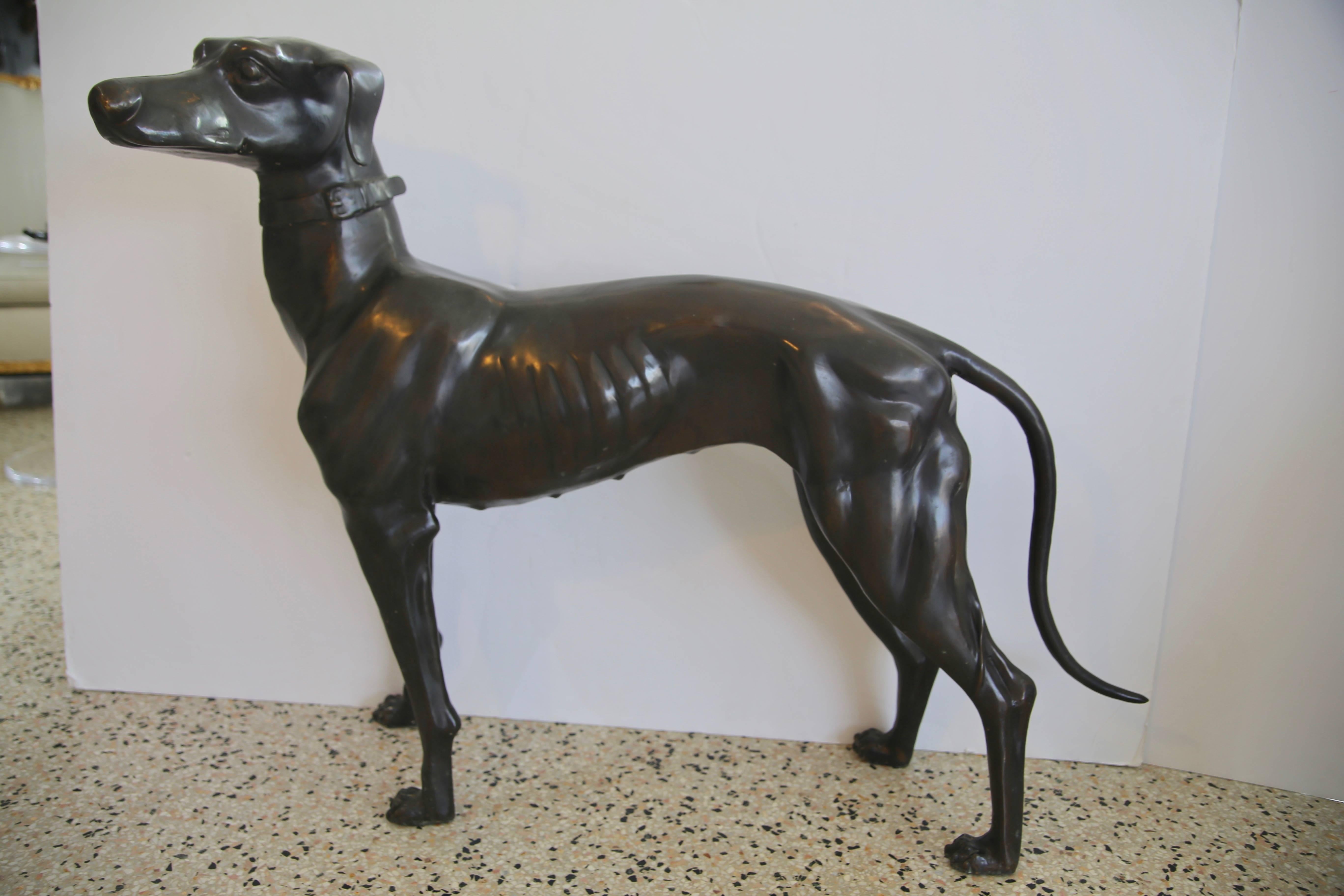 This stylish set of bronze Greyhound sculptures were recently acquired from a Palm Beach estate and date to the 1940s-1950s. They are slightly different in their scale and distinctive face and body features.

Note: Dimensions for both dogs:      34