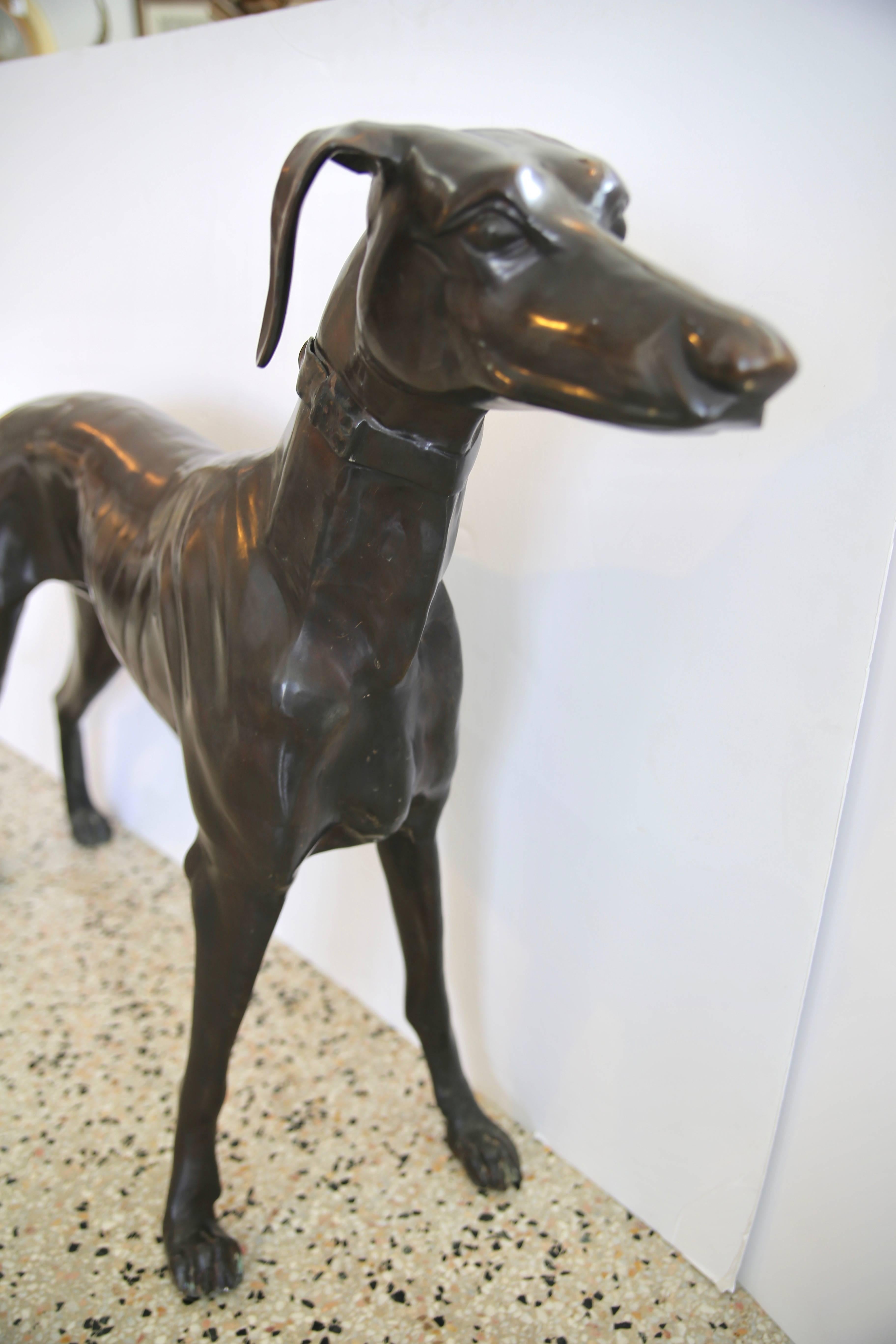 20th Century Pair of Life Size Bronze Greyhound Sculptures