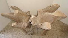 Large-Scale Cypress Tree Driftwood Dining Table or Console Base