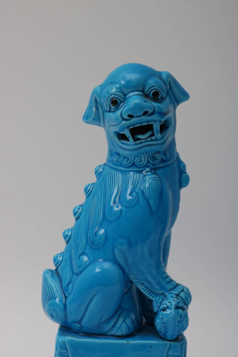 Pair of 1920s Chinese, Glazed Peking Blue Foo Dogs For Sale at 1stdibs