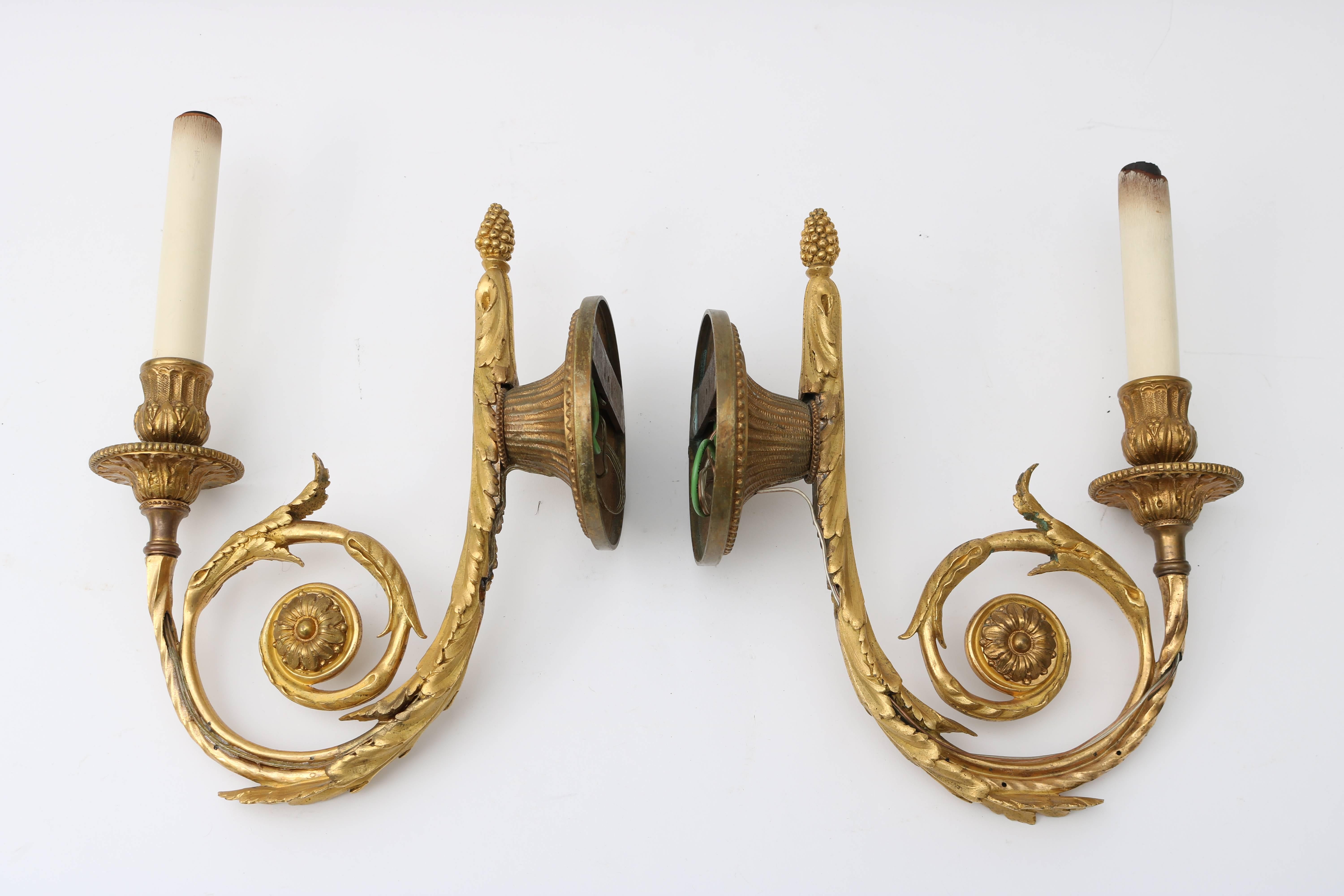 Pair of Louis XVI Style Single Arm, Bronze Doré Wall Sconces 1